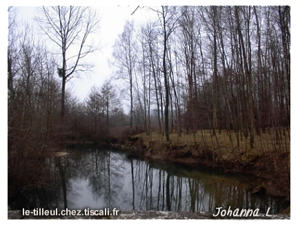 rivière en hiver