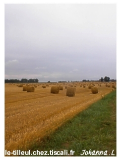 rouleaux de paille