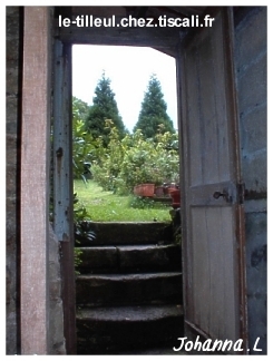 l'escalier du jardin