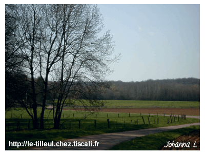 route de campagne